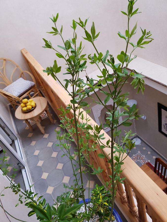 Riad Espressino Exclusive Marrakech 마라케시 외부 사진